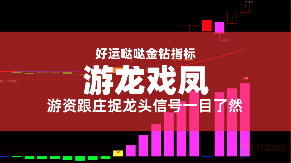 【金钻指标】游龙戏凤套装指标，主图+副图+3选股，异动擒龙主升浪，游资跟庄捉龙头信号一目了然！-好运哒哒指标源码网