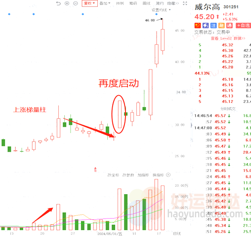 【看图识股】2种梯量柱，弱势行情教你低吸！-好运哒哒指标源码网