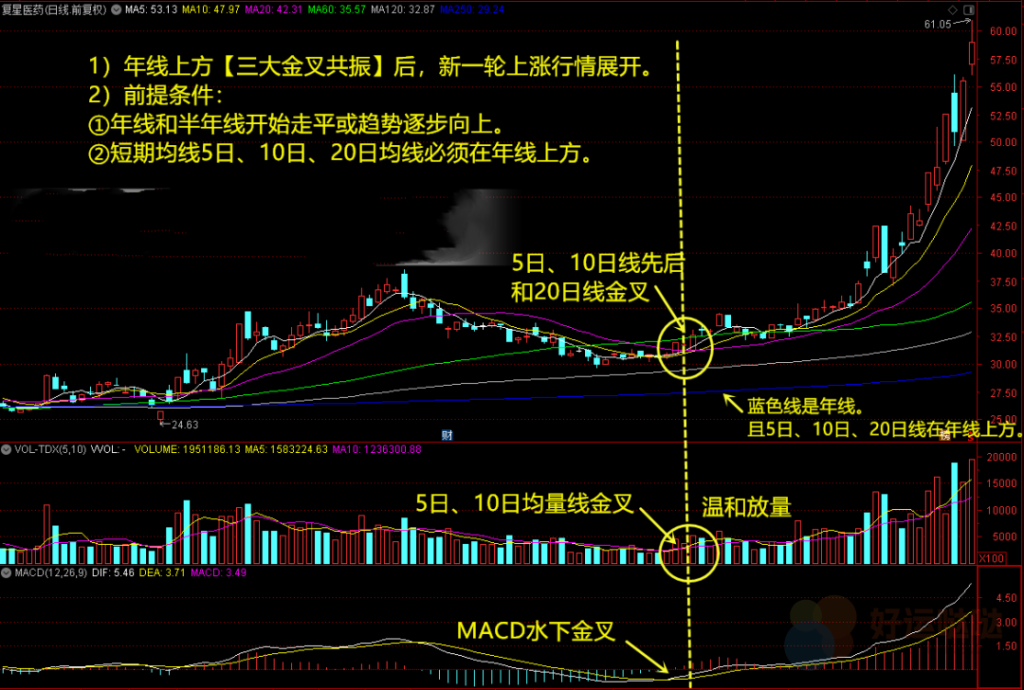 【看图识股】：如何用【三大金叉共振】捕捉趋势牛股-好运哒哒指标源码网