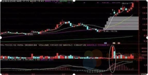 【看图识股】炒股只需做精“成交量”，牢记8大口诀！-好运哒哒指标源码网