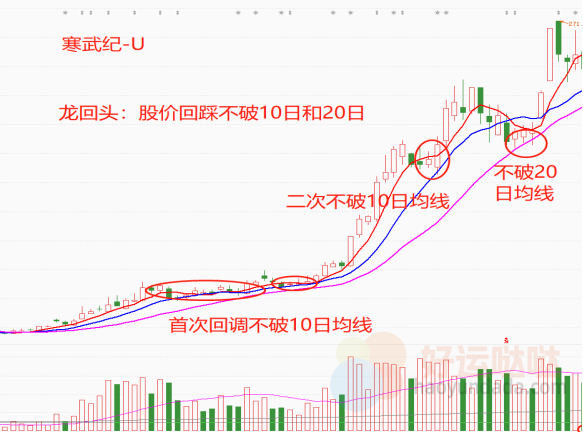 【看图识股】千金难买龙回头，抓强势股必看！-好运哒哒指标源码网