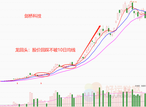 【看图识股】千金难买龙回头，抓强势股必看！-好运哒哒指标源码网