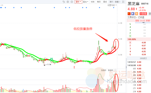 【看图识股】龙头低位启动时，值得重视的3种首板！-好运哒哒指标源码网
