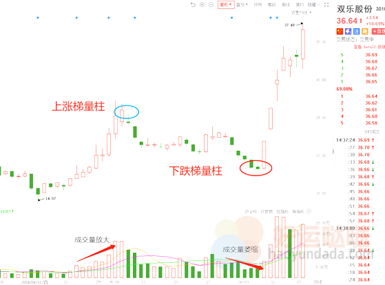 【看图识股】2种梯量柱，弱势行情教你低吸！-好运哒哒指标源码网