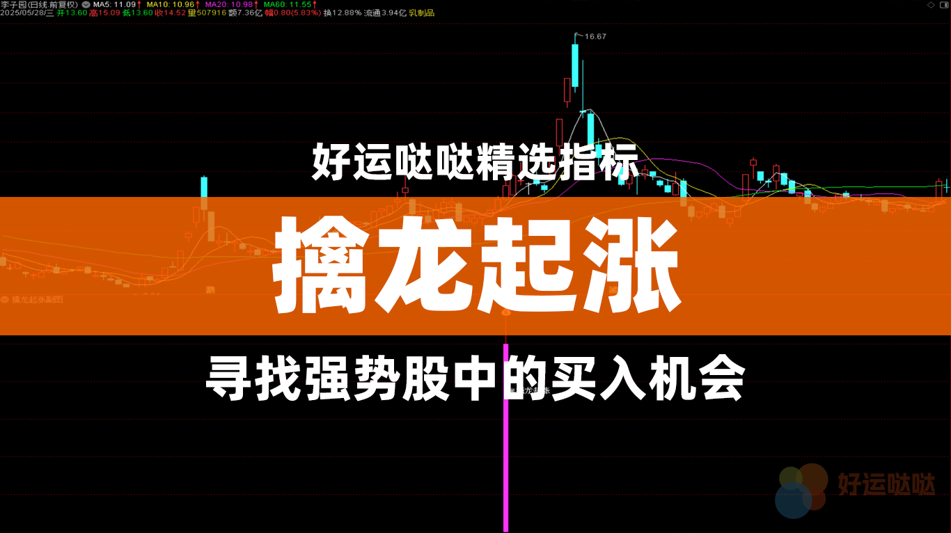 【精选指标】擒龙起涨指标主要用于寻找强势股中的买入机会-好运哒哒指标源码网