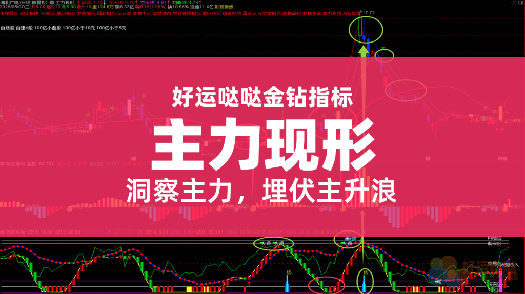 【金钻指标】主力现形套装指标，动穿主力资金，看穿主力，埋伏主升浪！-好运哒哒指标源码网
