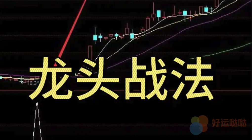 【选股技巧】超短线的大杀器——龙头战法-好运哒哒指标源码网