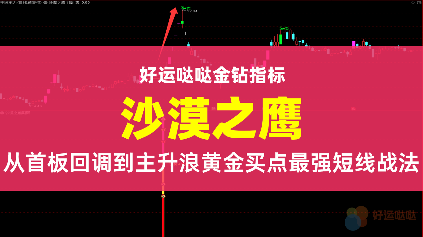 【金钻指标】2025年最强短线战法！'沙漠之鹰'策略15天95%收益实证：从首板回调到主升浪的黄金买点！ - 好运哒哒指标公式网-好运哒哒指标公式网